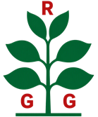 Logo Vivaio Ravasini